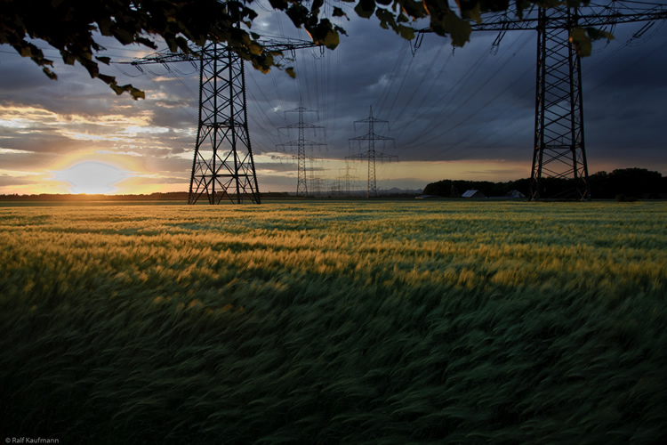 Diagnostics immobiliers