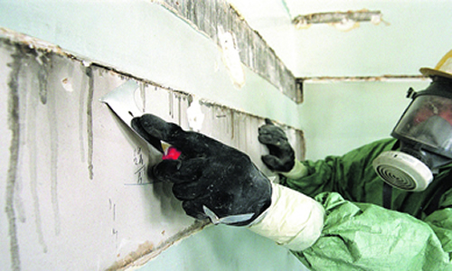 diagnostiqueur toulouse