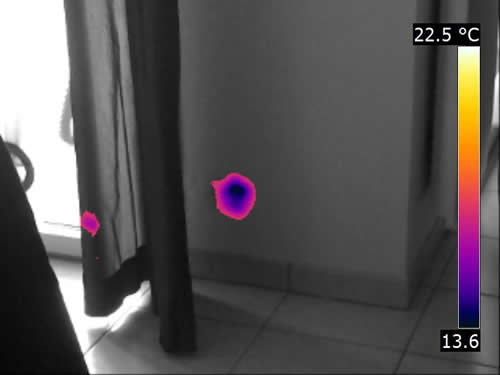 Thermographie toulouse